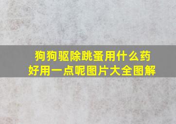 狗狗驱除跳蚤用什么药好用一点呢图片大全图解