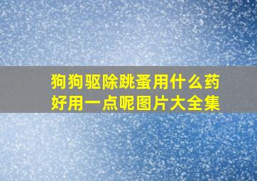 狗狗驱除跳蚤用什么药好用一点呢图片大全集