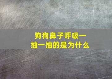 狗狗鼻子呼吸一抽一抽的是为什么