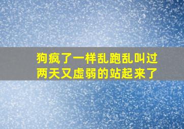 狗疯了一样乱跑乱叫过两天又虚弱的站起来了