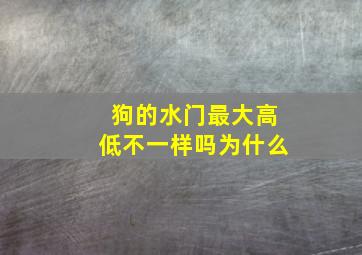 狗的水门最大高低不一样吗为什么