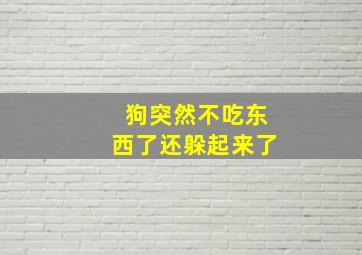 狗突然不吃东西了还躲起来了