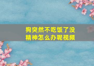 狗突然不吃饭了没精神怎么办呢视频