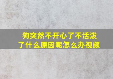 狗突然不开心了不活泼了什么原因呢怎么办视频