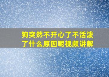 狗突然不开心了不活泼了什么原因呢视频讲解