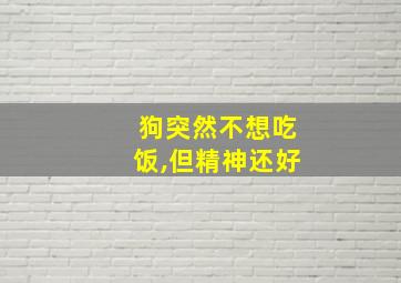 狗突然不想吃饭,但精神还好