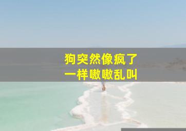 狗突然像疯了一样嗷嗷乱叫