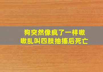 狗突然像疯了一样嗷嗷乱叫四肢抽搐后死亡