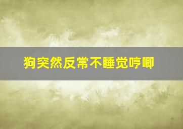 狗突然反常不睡觉哼唧