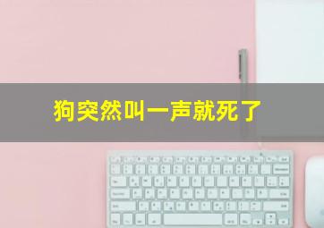 狗突然叫一声就死了