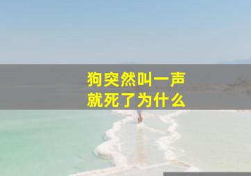 狗突然叫一声就死了为什么