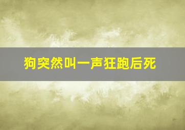 狗突然叫一声狂跑后死