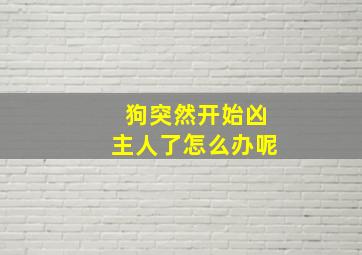 狗突然开始凶主人了怎么办呢