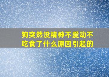 狗突然没精神不爱动不吃食了什么原因引起的