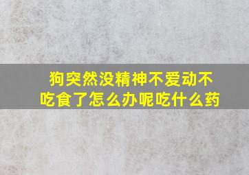 狗突然没精神不爱动不吃食了怎么办呢吃什么药