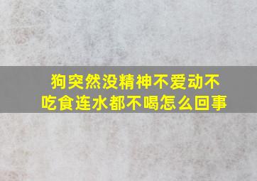 狗突然没精神不爱动不吃食连水都不喝怎么回事