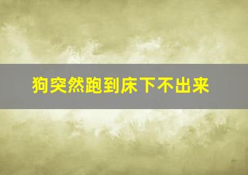 狗突然跑到床下不出来