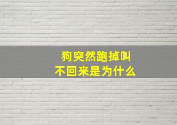 狗突然跑掉叫不回来是为什么