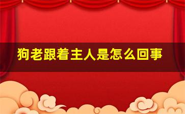 狗老跟着主人是怎么回事