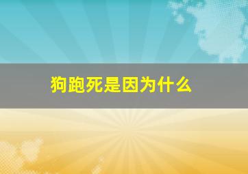 狗跑死是因为什么