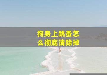 狗身上跳蚤怎么彻底清除掉