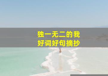 独一无二的我好词好句摘抄