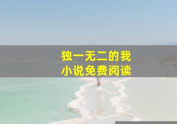 独一无二的我小说免费阅读