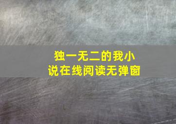 独一无二的我小说在线阅读无弹窗