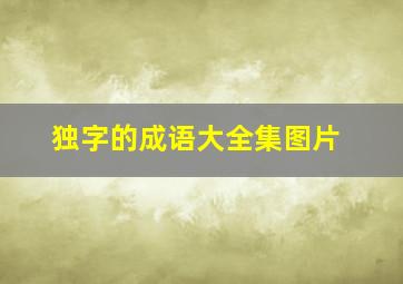 独字的成语大全集图片