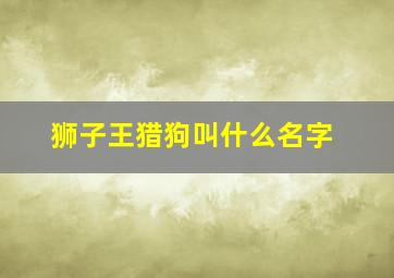 狮子王猎狗叫什么名字