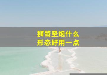 狮鹫坚炮什么形态好用一点