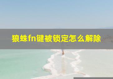 狼蛛fn键被锁定怎么解除