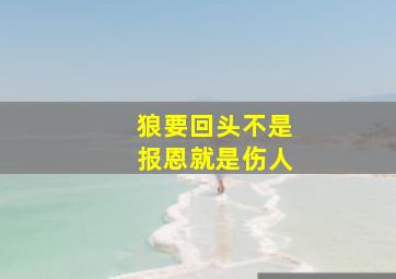 狼要回头不是报恩就是伤人