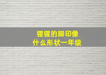 猩猩的脚印像什么形状一年级