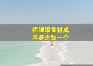 猪脚饭食材成本多少钱一个