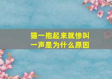 猫一抱起来就惨叫一声是为什么原因