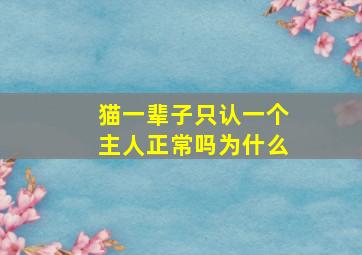 猫一辈子只认一个主人正常吗为什么