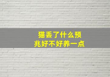 猫丢了什么预兆好不好养一点