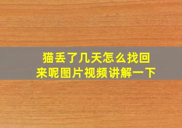 猫丢了几天怎么找回来呢图片视频讲解一下