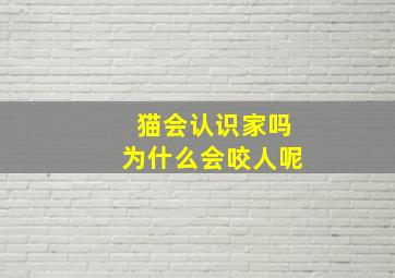 猫会认识家吗为什么会咬人呢