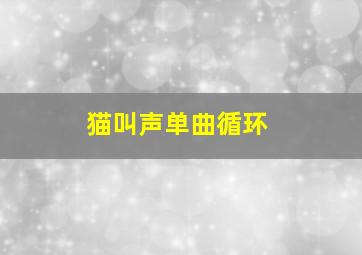 猫叫声单曲循环