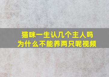 猫咪一生认几个主人吗为什么不能养两只呢视频