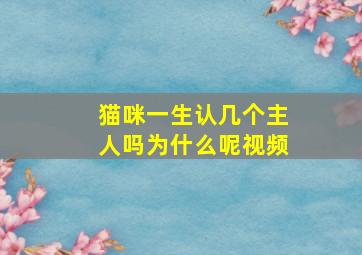 猫咪一生认几个主人吗为什么呢视频