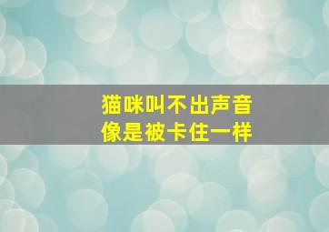 猫咪叫不出声音像是被卡住一样