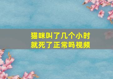 猫咪叫了几个小时就死了正常吗视频