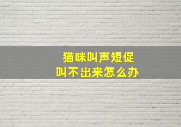 猫咪叫声短促叫不出来怎么办