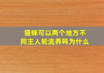 猫咪可以两个地方不同主人轮流养吗为什么