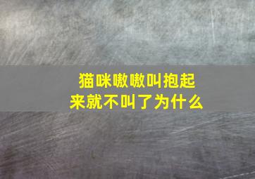 猫咪嗷嗷叫抱起来就不叫了为什么