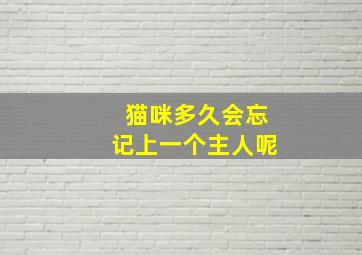 猫咪多久会忘记上一个主人呢