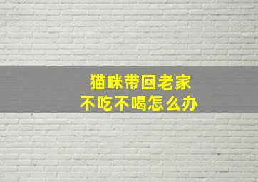 猫咪带回老家不吃不喝怎么办